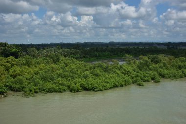 Bulutlu bir gökyüzünün altında yoğun yeşil bitki örtüsünün yanında akan geniş bir nehir. Manzara, yapay zeka ve yapay zeka eğitimi, nehir dinamikleri, kıyı şeridi modelleri ve doğal çevre koşullarının yakalanması için uygundur..
