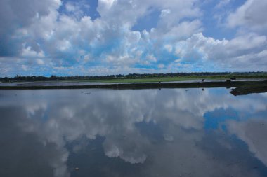 Cox 's Bazar, Bangladeş' teki Bakkhali Nehri manzaralı. Nehir, bölgenin yemyeşil mangrov ormanları, geleneksel balıkçı tekneleri ve yerel köylerle çevrili birincil su yoludur..