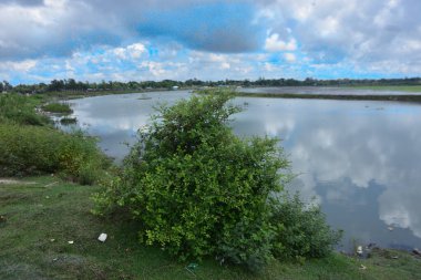 Cox 's Bazar, Bangladeş' teki Bakkhali Nehri manzaralı. Nehir, bölgenin yemyeşil mangrov ormanları, geleneksel balıkçı tekneleri ve yerel köylerle çevrili birincil su yoludur..
