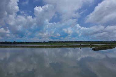 Cox 's Bazar, Bangladeş' teki Bakkhali Nehri manzaralı. Nehir, bölgenin yemyeşil mangrov ormanları, geleneksel balıkçı tekneleri ve yerel köylerle çevrili birincil su yoludur..