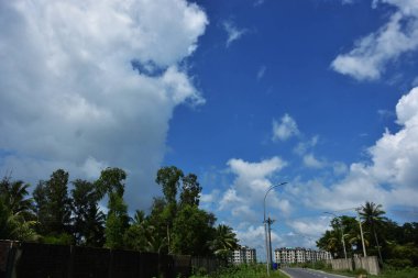 Yeşil ağaçlarla, hindistan cevizi palmiyeleriyle ve beyaz bulutlarla dolu açık gökyüzüyle kırsal alan. Sahne yapay zeka veri ve yapay zeka eğitimi için uygundur, makine öğrenimi, arazi kullanımı analizi ve çevresel modelleme için doğal modeller sunmaktadır..