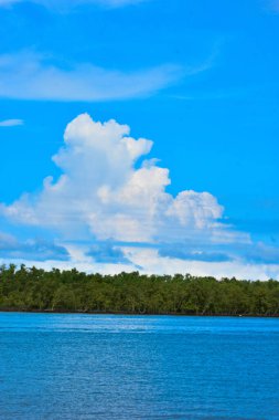 Nehir kıyısında alçak gelgitte mangrov çamuru manzarası. Küçük su kanalları yeşil çimenlerin arasından uzak kıyıya yanaşmış teknelere doğru esiyor. Açık mavi gökyüzü altında kıyı koruması için beton tetrapodlar. Tropikal doğa manzarası