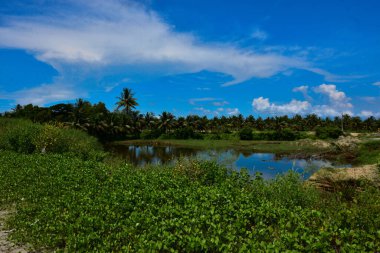 Cox 's Bazar, Bangladeş' teki Bakkhali Nehri havzasının manzarası. Gökyüzünü yansıtan sakin bir havuz, yemyeşil mangrov çalıları, ve gelgit geçişi sırasında bulutlarla dolu dinamik bir gökyüzü altında uzak bir ağaç hattı..