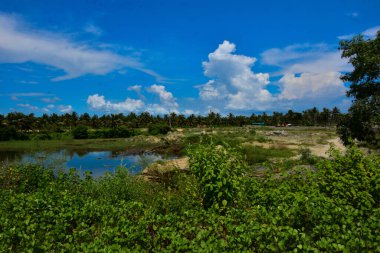 Cox 's Bazar, Bangladeş' teki Bakkhali Nehri havzasının manzarası. Gökyüzünü yansıtan sakin bir havuz, yemyeşil mangrov çalıları, ve gelgit geçişi sırasında bulutlarla dolu dinamik bir gökyüzü altında uzak bir ağaç hattı..