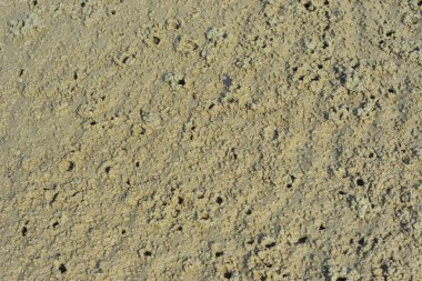 Kıyı kum yüzeyi, gelgit ve çevresel süreçlerin oluşturduğu ince tanecikli dokuyu ve doğal desenleri gösteriyor. Görüntü, soyut bir doğal arkaplan olarak çalışır ve nehir kıyısı veya kıyı şeridi boyunca çökelti yapısını belgeler..