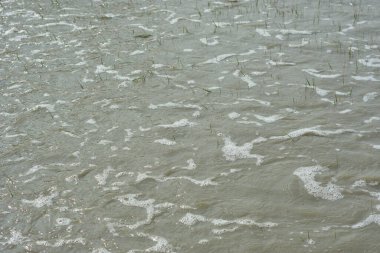 Gelgit akıntısı nehir suyunu yukarı itiyor, görünür su akışını ve nehir kanalında yükselen seviyeleri gösteriyor. Görüntü, kıyı ortamındaki gelgit hareketleri, hidrolojik süreçler ve değişen nehir koşullarını belgeliyor.