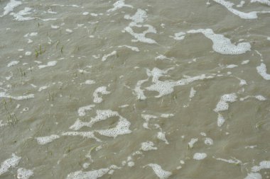 Gelgit akıntısı nehir suyunu yukarı itiyor, görünür su akışını ve nehir kanalında yükselen seviyeleri gösteriyor. Görüntü, kıyı ortamındaki gelgit hareketleri, hidrolojik süreçler ve değişen nehir koşullarını belgeliyor.