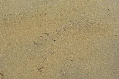 Nehir kenarındaki yengeçler tarafından oluşturulan doğal kum deseni biyolojik aktivite yoluyla oluşan granüler çökelti yapılarını gösteriyor. Resim, kıyı nehri ekolojisi, doğal yüzey dokusu ve hayvanlardan etkilenen çevresel desenleri belgeler..