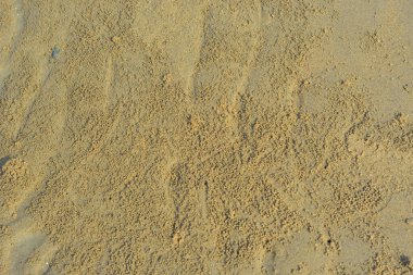 Nehir kenarındaki yengeçler tarafından oluşturulan doğal kum deseni biyolojik aktivite yoluyla oluşan granüler çökelti yapılarını gösteriyor. Resim, kıyı nehri ekolojisi, doğal yüzey dokusu ve hayvanlardan etkilenen çevresel desenleri belgeler..