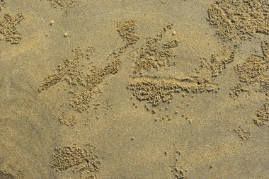 Doğal kum yüzey dokusu organik bir zemin oluşturarak nehir ya da kıyı şeridi boyunca oluşan doğal süreçlerin oluşturduğu granüler desenleri gösterir. Doku kullanımı, çevre çalışmaları ve soyut doğa geçmişi için uygundur..