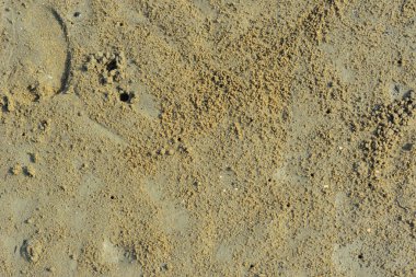 Doğal kum yüzey dokusu organik bir zemin oluşturarak nehir ya da kıyı şeridi boyunca oluşan doğal süreçlerin oluşturduğu granüler desenleri gösterir. Doku kullanımı, çevre çalışmaları ve soyut doğa geçmişi için uygundur..