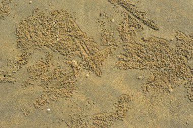 Doğal kum yüzey dokusu organik bir zemin oluşturarak nehir ya da kıyı şeridi boyunca oluşan doğal süreçlerin oluşturduğu granüler desenleri gösterir. Doku kullanımı, çevre çalışmaları ve soyut doğa geçmişi için uygundur..