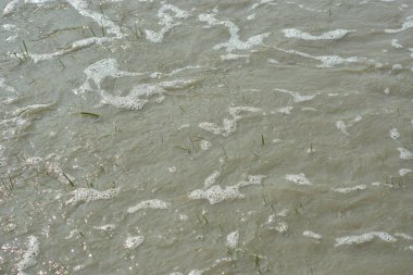 Gel-git sırasında nehir kanalına giren gelgit suyu, deniz suyunun akıntıya karşı akış ve yüzey hareketlerini gösteriyor. Resim, kıyı ortamında nehir dinamiklerini ve navigasyonunu etkileyen gelgit süreçlerini belgeliyor..