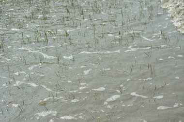 Gel-git sırasında nehir kanalına giren gelgit suyu, deniz suyunun akıntıya karşı akış ve yüzey hareketlerini gösteriyor. Resim, kıyı ortamında nehir dinamiklerini ve navigasyonunu etkileyen gelgit süreçlerini belgeliyor..