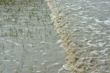 Gel-git sırasında nehir kanalına giren gelgit suyu, deniz suyunun akıntıya karşı akış ve yüzey hareketlerini gösteriyor. Resim, kıyı ortamında nehir dinamiklerini ve navigasyonunu etkileyen gelgit süreçlerini belgeliyor..