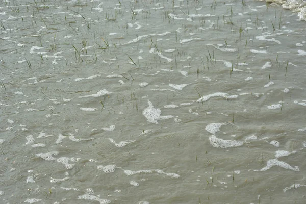 Gelgit akıntısı nehir suyunu yukarı itiyor, görünür su akışını ve nehir kanalında yükselen seviyeleri gösteriyor. Görüntü, kıyı ortamındaki gelgit hareketleri, hidrolojik süreçler ve değişen nehir koşullarını belgeliyor.
