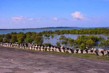Bangladeş 'te sığ gelgit suları, yeşil mangrov ağaçları ve açık mavi gökyüzünün altındaki rüzgar türbinleriyle kıyı mangrov arazisi. Doğal ekosistem yenilenebilir enerji ve sürdürülebilir kalkınma kavramlarıyla birleştirildi.