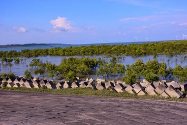Bangladeş 'teki kıyı mangrovlarının canlı mavi gökyüzünün altında manzarası. Beton tetrapodlar koruma için kıyı boyunca uzanırken, uzak rüzgar türbinleri bu yemyeşil, tropikal sulak ekosistem içindeki yeşil enerji entegrasyonunu vurguluyor..