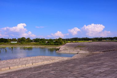 Bu huzurlu kıyı sahnesinde sığ sularda yetişen genç bir mangrov ormanı, ufuktaki modern rüzgar türbinleri ve açık mavi gökyüzü tarafından çerçevelenmiş, doğa ve yenilenebilir enerji çözümleri arasındaki uyumu gösteriyor..