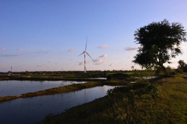 Bangladeş 'teki kırsal sulak alanlar sığ sular, yeşil bitki örtüsü ve berrak mavi gökyüzünün altında açık arazi barındırır. Ekosistem dengesini, mevsimsel su mevcudiyetini ve çevresel sürdürülebilirliği gösteren doğal sulak arazi manzarası.