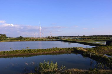 Sığ su alanları, yeşil çimenli bitki örtüsü ve açık gökyüzünün yer aldığı kıyı otlakları. Doğal kıyı çevresi sulak arazi ekosistemlerini, mevsimsel su akışını ve sakin bir kırsal ortamı gösteriyor..