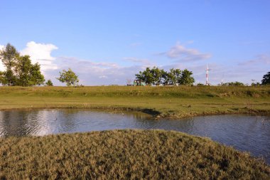 Açık mavi gökyüzünün altında sığ su, çimenli bitki örtüsü ve rüzgar türbinlerinin yer aldığı kırsal sulak arazi. Doğal kırsal çevre yenilenebilir enerji altyapısı ve sürdürülebilir kalkınma kavramlarıyla birleştirildi