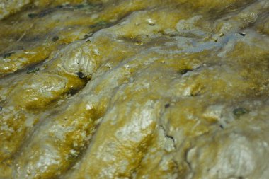 Gelgitler arası kum düzlüklerinde oluşan doğal dalgalanma desenleri kıyı ortamında gelgit suyu hareketinin şekillendirdiği ıslak kumu gösteriyor..