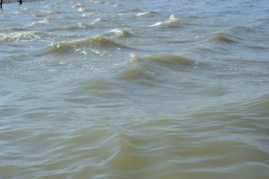 Gelgitler arası kum düzlüklerinde oluşan doğal dalgalanma desenleri kıyı ortamında gelgit suyu hareketinin şekillendirdiği ıslak kumu gösteriyor..