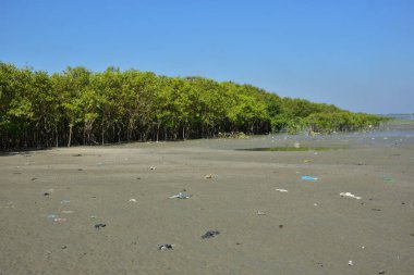 Gelgitler arası kum düzlüklerinde oluşan doğal dalgalanma desenleri kıyı ortamında gelgit suyu hareketinin şekillendirdiği ıslak kumu gösteriyor..
