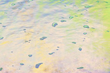 Sıcak turuncu ve kahverengi tonlara sahip soyut doğal doku dağınık organik noktalar ve ince tahıllar. Yüzey, dünyevi desenleri ve sıkıntılı detayları gösteriyor. Bu da onu arka planlar, kırsal tasarımlar ve yaratıcı kavramlar için uygun kılıyor..