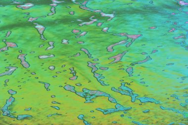 Yumuşak yeşil tonları ve ince pembe röfleleri olan soyut su yüzeyi dokusu. Hafif dalgalanmalar ve doğal yansımalar arka planlar, eko-temalı tasarımlar, yaratıcı planlar ve modern görsel kavramlar için uygun sakin ve organik bir model oluşturur..