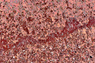 Yumuşak karışımlı gradyan ve ince görsel desenler içeren soyut çok renkli arkaplan. Yaratıcı tasarım, dijital arka planlar, sunumlar, posterler, duvar kağıtları ve modern sanatsal hissi olan yapay zeka eğitim verileri için uygundur..