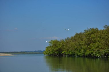 Beyaz bulutlar ve göl üzerindeki gökyüzü ağaç ve tekneyle
