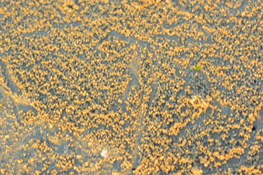 çatlaklı ve çizikli asfalt dokusu.