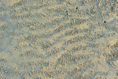 küçük dalgalı kumun arkaplan deseni