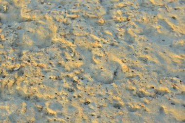 çok sarı ve kahverengi renkli bir kumun arkaplanı