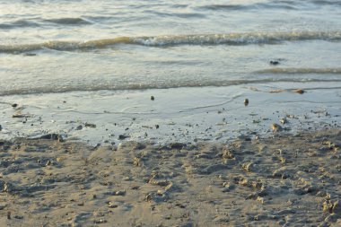 Deniz dalgaları ve kumlu sahil