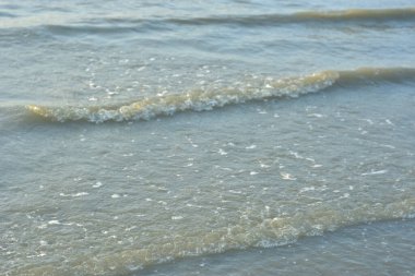 denizin üzerinde köpük