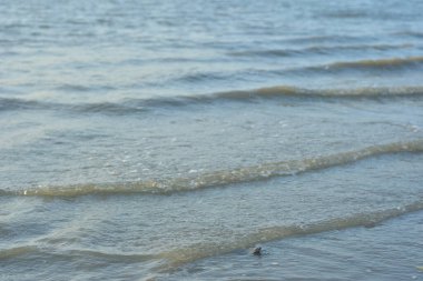 Kumlu sahilde deniz dalgası. Kapat - kapat