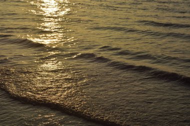 Sahilde deniz dalgaları