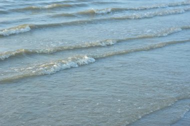 Sahilde su dokusu. Baltık Denizi dalgaları