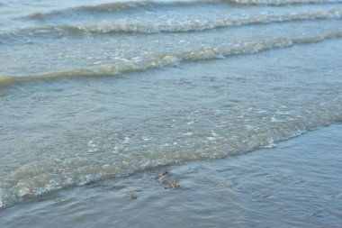 Sahildeki deniz dalgaları