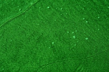 yeşil deri dokusu arkaplanı