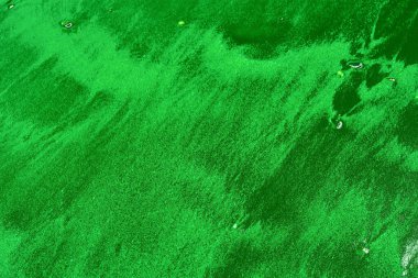 soyut yeşil doku, arkaplan, duvar kağıdını kopyala