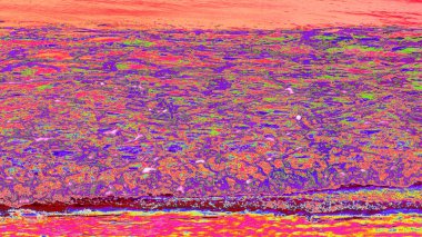 Eski ahşap dokusu. herhangi bir tasarım için