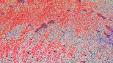 metin veya resim için alanı olan grunge arkaplanı