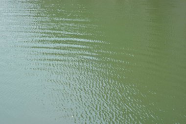 su yüzeyi arkaplanı, soyut doku