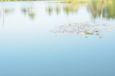 Nehrin yüzeyinde su yansıması