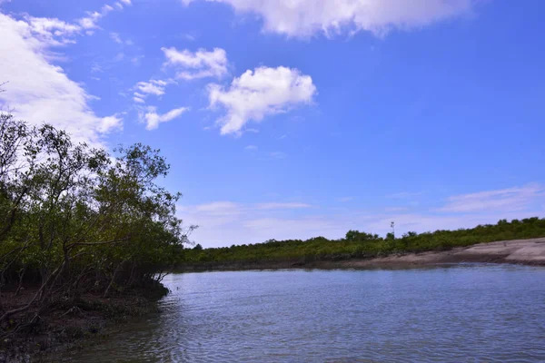 Güzel göl manzarası