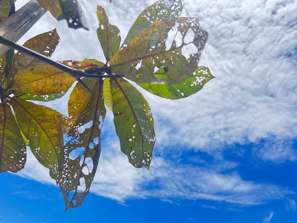 Doğanın güzel manzarası